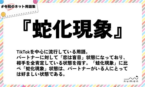 蛇化現象 意味|【ヘビ】蛇化現象とは？由来や蛙化現象との違い意味。